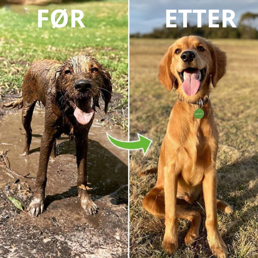 FurryFresh - Effektiv Hundevask Tilbehør